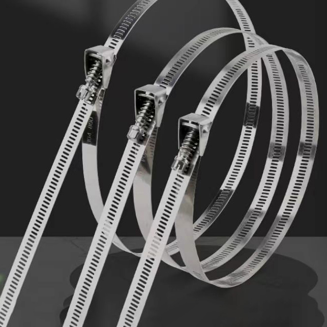 不銹鋼新式扳倒式扎帶